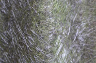 Warstock fibreglass roof work